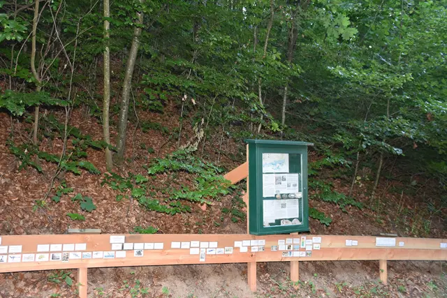 Foto: Zinterhof