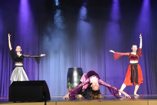 Die "Witches" holten den Vizeweltmeistertitel für das BRG Oberschützen: Anna Glatz, Lisa Zettl, Katharina Kaufmann | Foto: MeinBezirk/Michael Strini