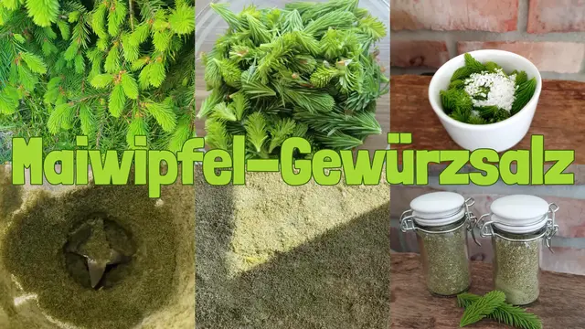 Fotocollage: Glaser 