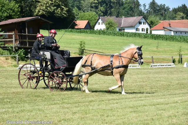 Foto: Gerald Dreisiebner