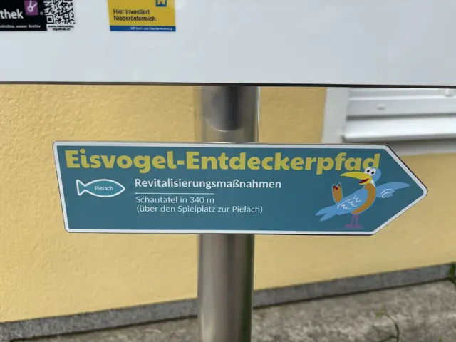 Immer dem Pfeil nach! | Foto: Martina Schweller