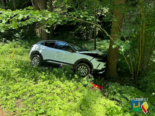 Bilder zum Unfall in Liebenfels. | Foto: FF Liebenfels