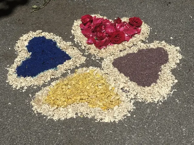Foto: MeinBezirk/Waltraud Fischer