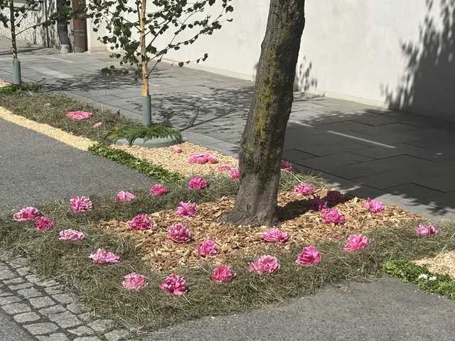 Foto: MeinBezirk/Waltraud Fischer