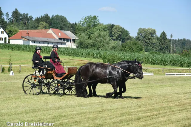 Foto: Gerald Dreisiebner