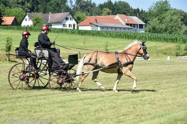 Foto: Gerald Dreisiebner