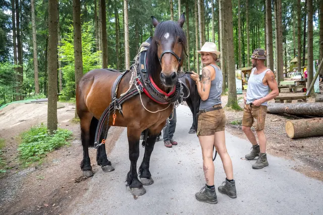 Foto: WKO Schärding