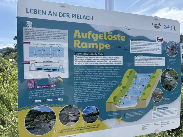 Auf jeder Tafel gibt es eine Frage. Jede richtige Antwort ergibt einen Buchstaben, der im Wissenspass eingetragen wird. | Foto: Martina Schweller