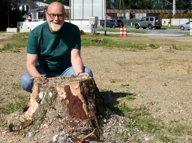 Die Fällung des Birkenwäldchens in Priel sorgte für Diskussionen. Stadtrat Michael Schüssler betont, dass die Maßnahme aus Sicherheitsgründen alternativlos gewesen sei und kündigt eine nachhaltige Neugestaltung des Areals an. | Foto: Stadtgemeinde Wolfsberg