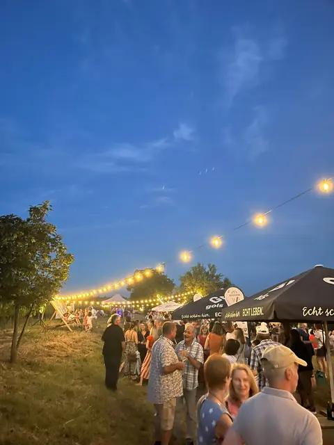 Abendstimmung bei Wein mit Weitblick. Für die musikalische Stimmung sorgte die Band Hatchdown. | Foto: WBV Gols