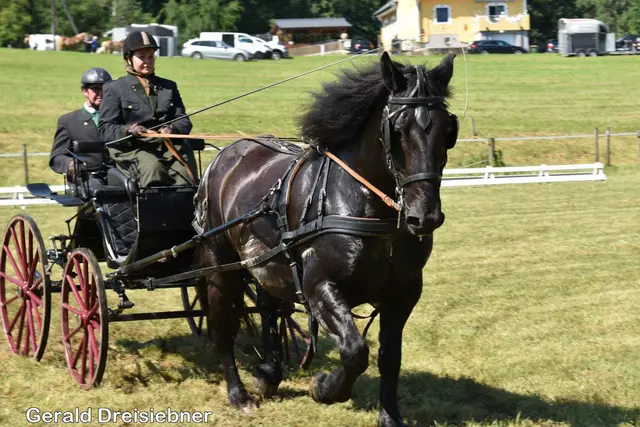 Foto: Gerald Dreisiebner