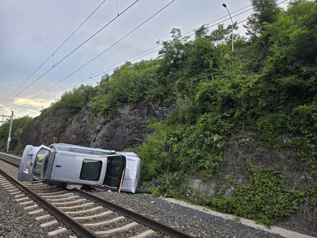 Auf der Villacher Straße kam der 67-Jährige mit seinem Pkw auf Höhe des Strandbades wegen eines Sekundenschlafes von der Fahrbahn ab. | Foto: Berufsfeuerwehr Klagenfurt am Wörthersee