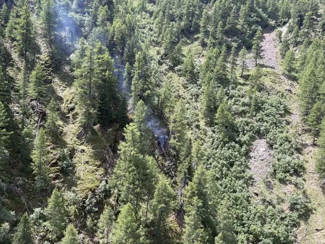 Bild vom Brand. | Foto: Feuerwehr Sachsenburg