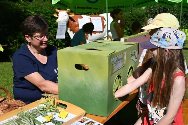 Kinderprogramm mit Gebietsbäuerin Elisabeth Hummel | Foto: Die Bäuerinnen im Bezirk Waidhofen