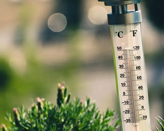 Wenn es draußen über 30 Grad Celsius hat ist der Körper angestrengt genug - da sollte man ihn nicht durch schwer verdauliches Essen zusätzlich anstrengen. | Foto: pixabay