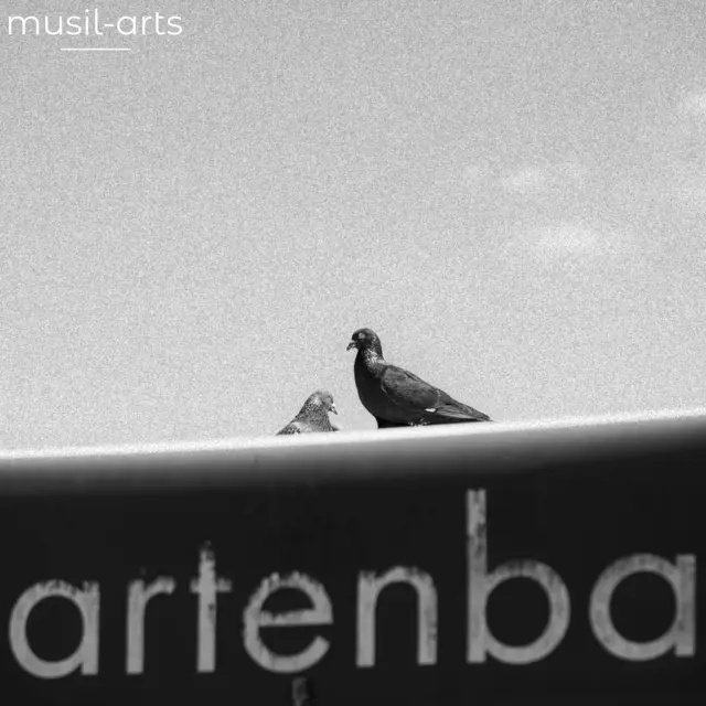 Fotografien von musil-arts werden in der Färberei in Wieselburg präsentiert. | Foto: Andreas Musil/musil-arts