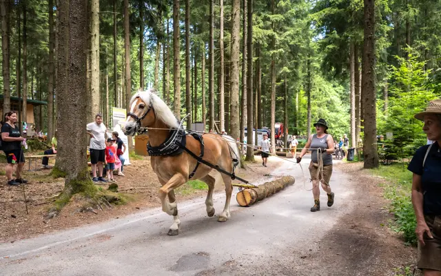 Foto: WKO Schärding