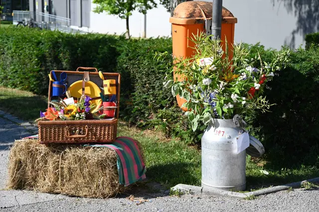 Foto: Die Bäuerinnen im Bezirk Waidhofen