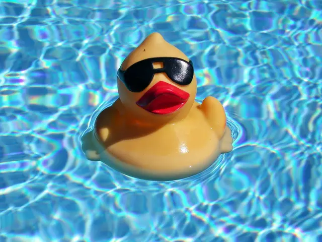 Jene, die gerne sonnenbaden, gefällts natürlich. | Foto: Silvia Plischek