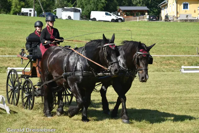 Lokalmatadorin Christine Brunner mit ihrer beiden Noriker Pferden. | Foto: Gerald Dreisiebner