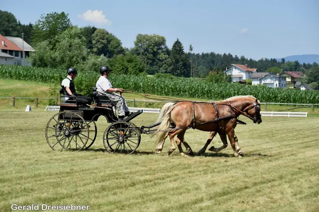 Foto: Gerald Dreisiebner