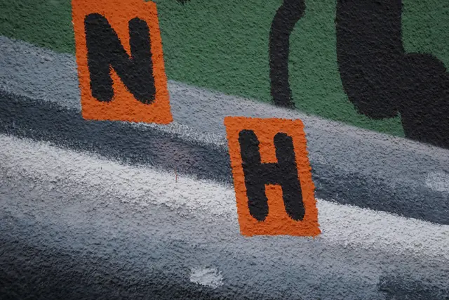 Mit Farbe, Formen und neuen Ideen entwickelt HNRX seine eigene visuelle Sprache weiter. | Foto: MeinBezirk/Pali