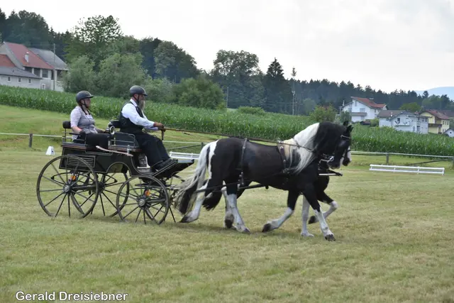 Foto: Gerald Dreisiebner