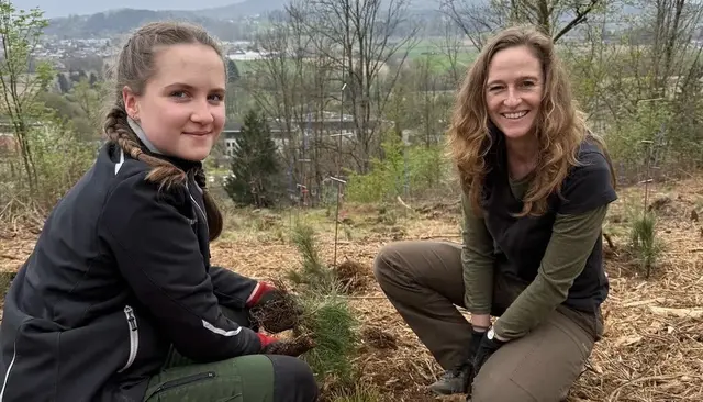 Die HBLA Pitzelstätten schuf mit dem klimafitten Wald ein langfristiges Projekt.  | Foto: HBLA PItzelstätten