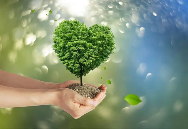 Junge Menschen setzten sich kreativ und praxisnah mit Klimawandel und Energiefragen auseinander. | Foto: Pixabay (Symbolfoto)
