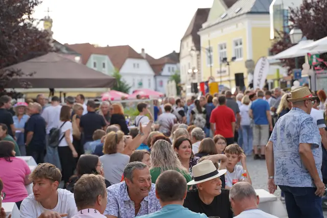 Beim Zwettler Sommernachtsfest herrscht stets grandiose Stimmung. | Foto: Evi Leutgeb