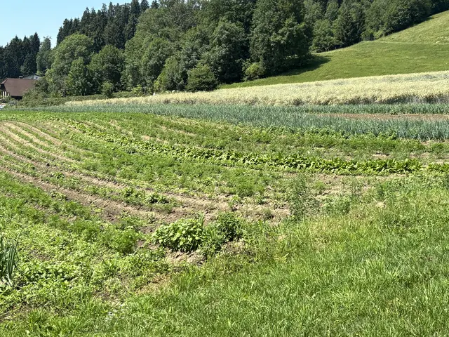 Foto: MeinBezirk