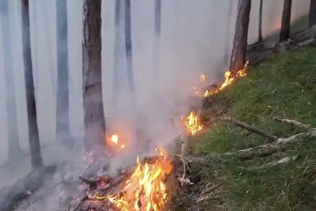 Es standen rund 60 Feuerwehrmitglieder im Einsatz. | Foto: FF Gutenstein