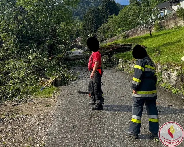 Foto: Freiwillige Feuerwehr Treffen