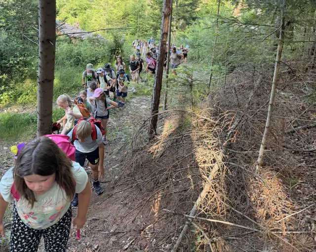 Für die Volksschülerinnen und Volksschüler ging es auf in den Wald. 