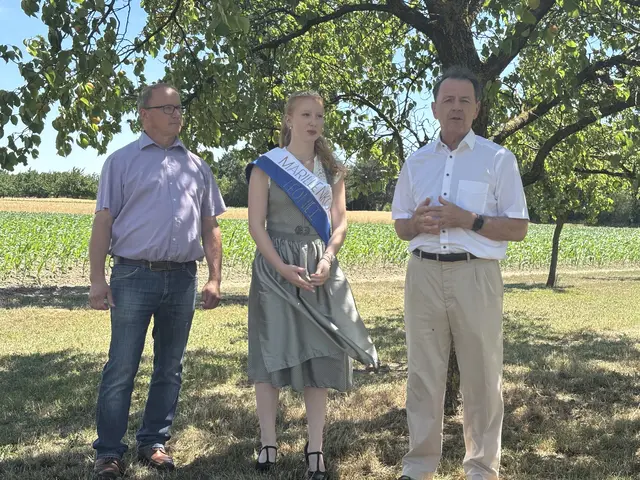 Laut Josef Maurovich (links) erwarten die Marillenproduzenten dieses Jahr eine durchschnittliche Ernte.  | Foto: Dorottya Fejes/MeinBezirk