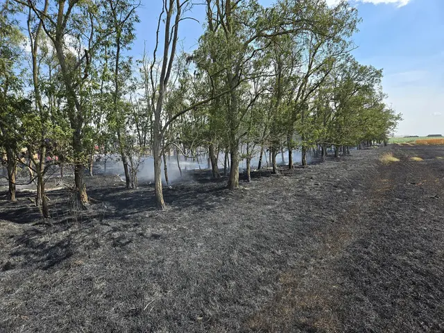 Foto: FF Wallern