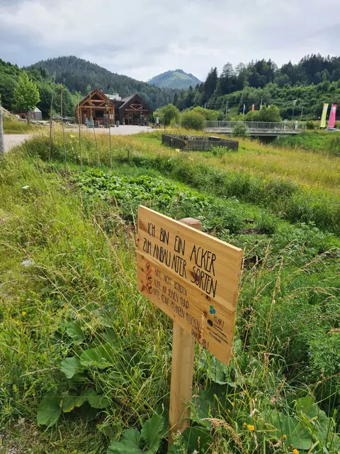 Versuchsacker an der Ötscher-Basis in Wienerbruck. | Foto: Naturpark Ötscher- Tormäuer