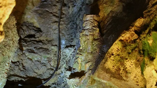 Tropfsteinhöhle Alland. | Foto: Eva Leonhardsberger