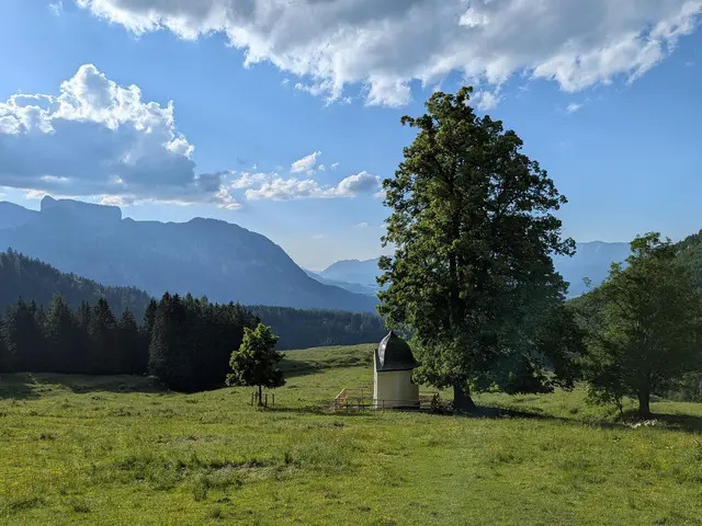 Foto: kfbOÖ/Haslinger