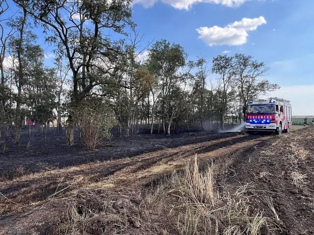 Starker Wind erschwerte die Löscharbeiten erheblich. | Foto: FF Pamhagen