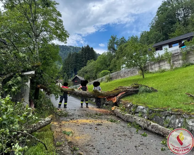 Foto: Freiwillige Feuerwehr Treffen