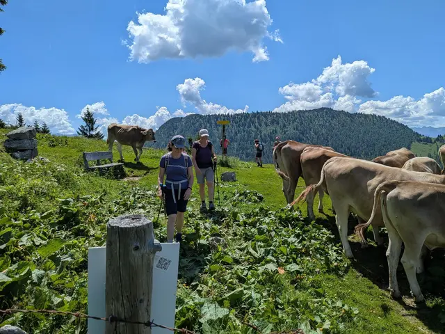 Foto: kfbOÖ/Haslinger