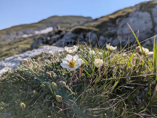 Foto: kfbOÖ/Haslinger