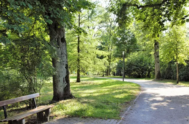 Gerade im Sommer in der Stadt von hohem Wert: Wiesen, Bäume und Parks.  | Foto: pexels / Gutjahr Aleksandr