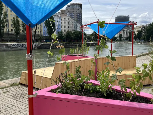 Foto: Kathrin Hagen/TU Wien