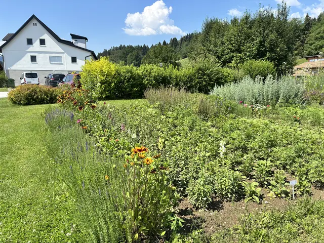 Foto: MeinBezirk