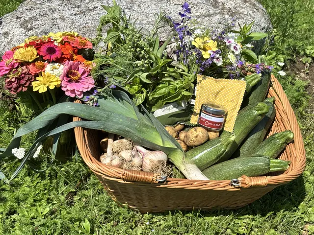 Foto: MeinBezirk