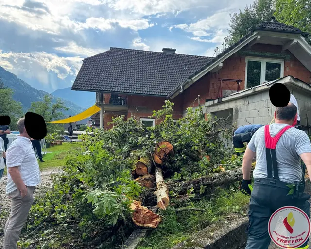 Foto: Freiwillige Feuerwehr Treffen