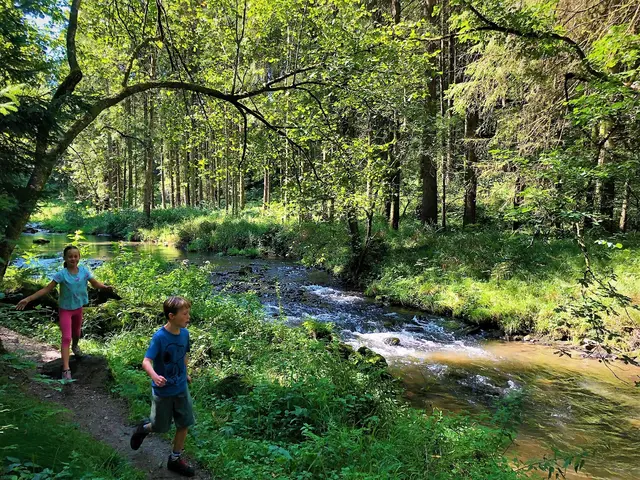 Viele Wanderer kommen ins idyllische Kösslbachtal und genießen die naturbelassene Umgebung.  | Foto: Franz Gruber