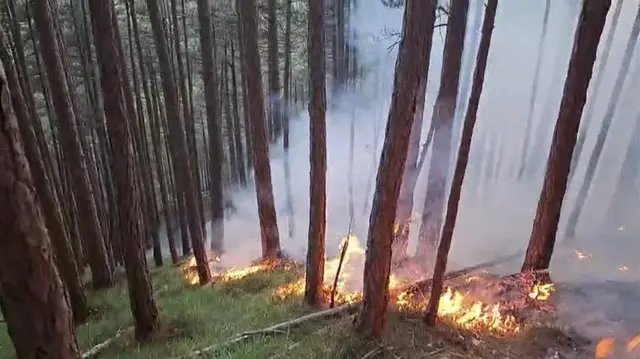 Zur Unterstützung wurden die Freiwilligen Feuerwehren Waidmannsfeld-Miesenbach, Muggendorf, Thal und Oed mit ihren Tanklöschfahrzeugen nachalarmiert. | Foto: FF Gutenstein